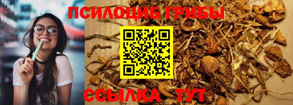 Галлюциногенные грибы MAGIC MUSHROOMS  где продают   Сафоново  Вход с VPN 