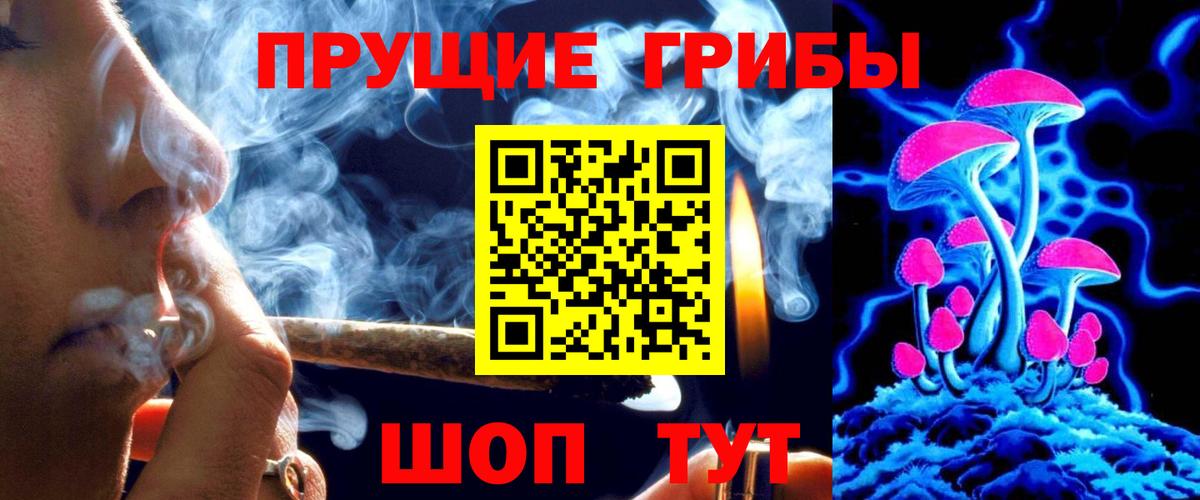 Псилоцибиновые грибы GOLDEN TEACHER Сафоново